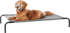 Raised Elevated Dog Bed